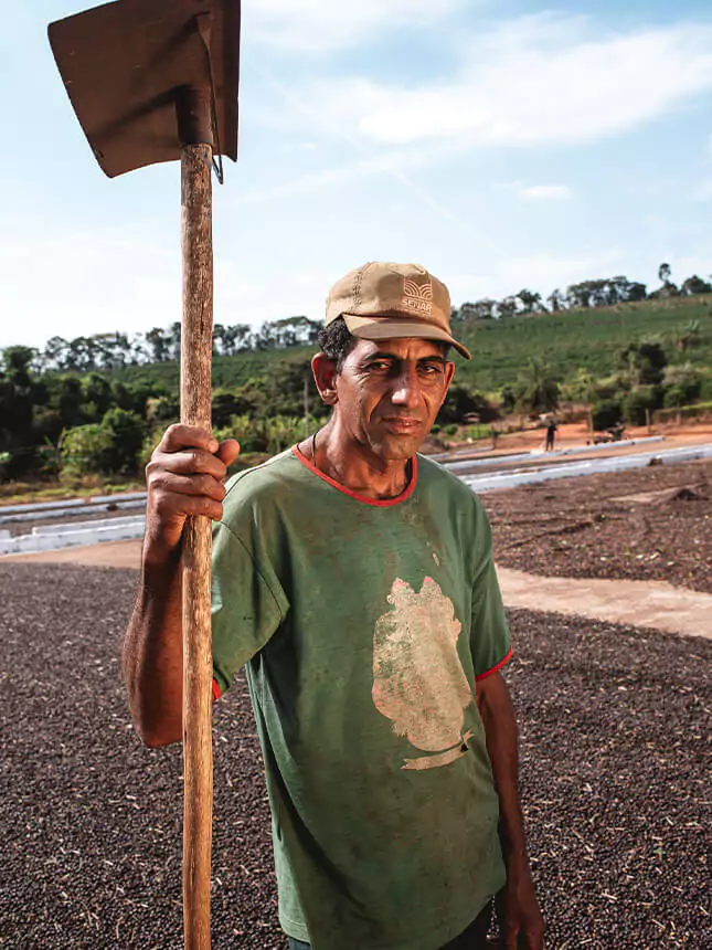 A man at a coffee plantation