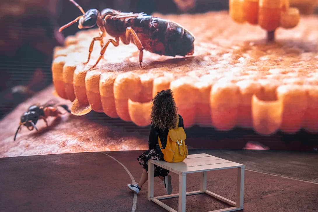 A woman looks at a large picture of a bee on a honeycomb (Photo)