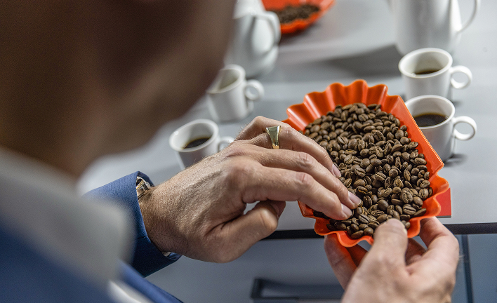 Protagonist inspects roasted coffee beans in an tray surrounded by white espresso cups filled with brewed coffee.
