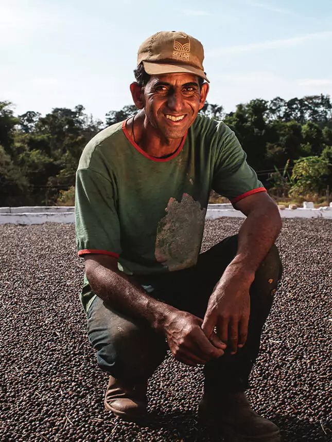 Ein Mann auf einer Kaffeeplantage