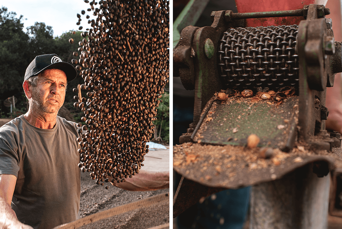 Organic waste being turned into natural fertilizer