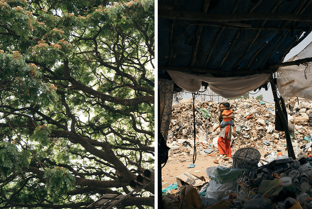 Trees and a waste site